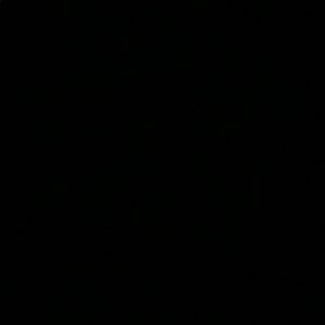 Meet your Posher, Roshni